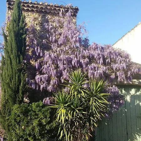 Apartman La Glycine
